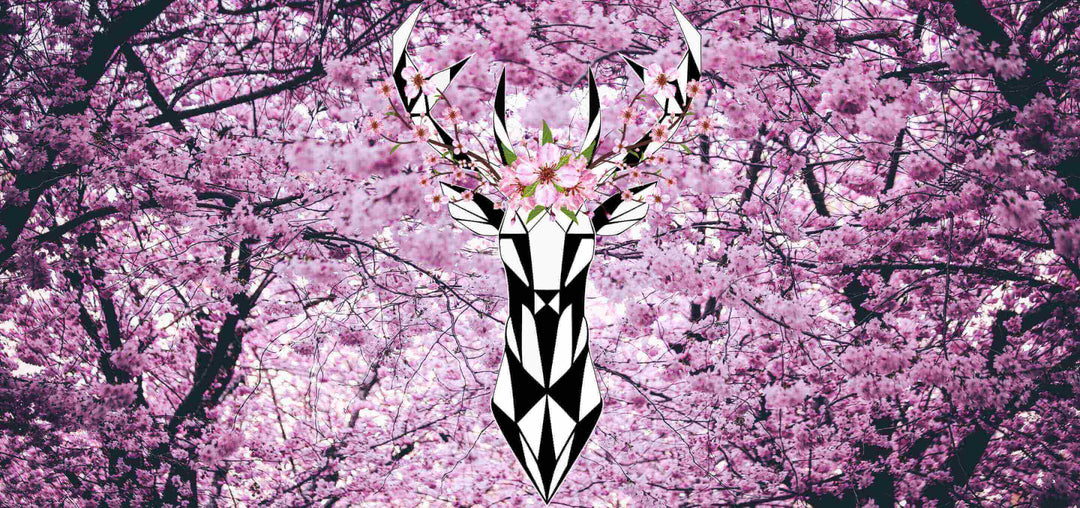 Geometrische Illustration eines Hirschkopfes mit blühenden Kirschblüten im Geweih, vor einem Hintergrund aus rosa Kirschblütenbäumen