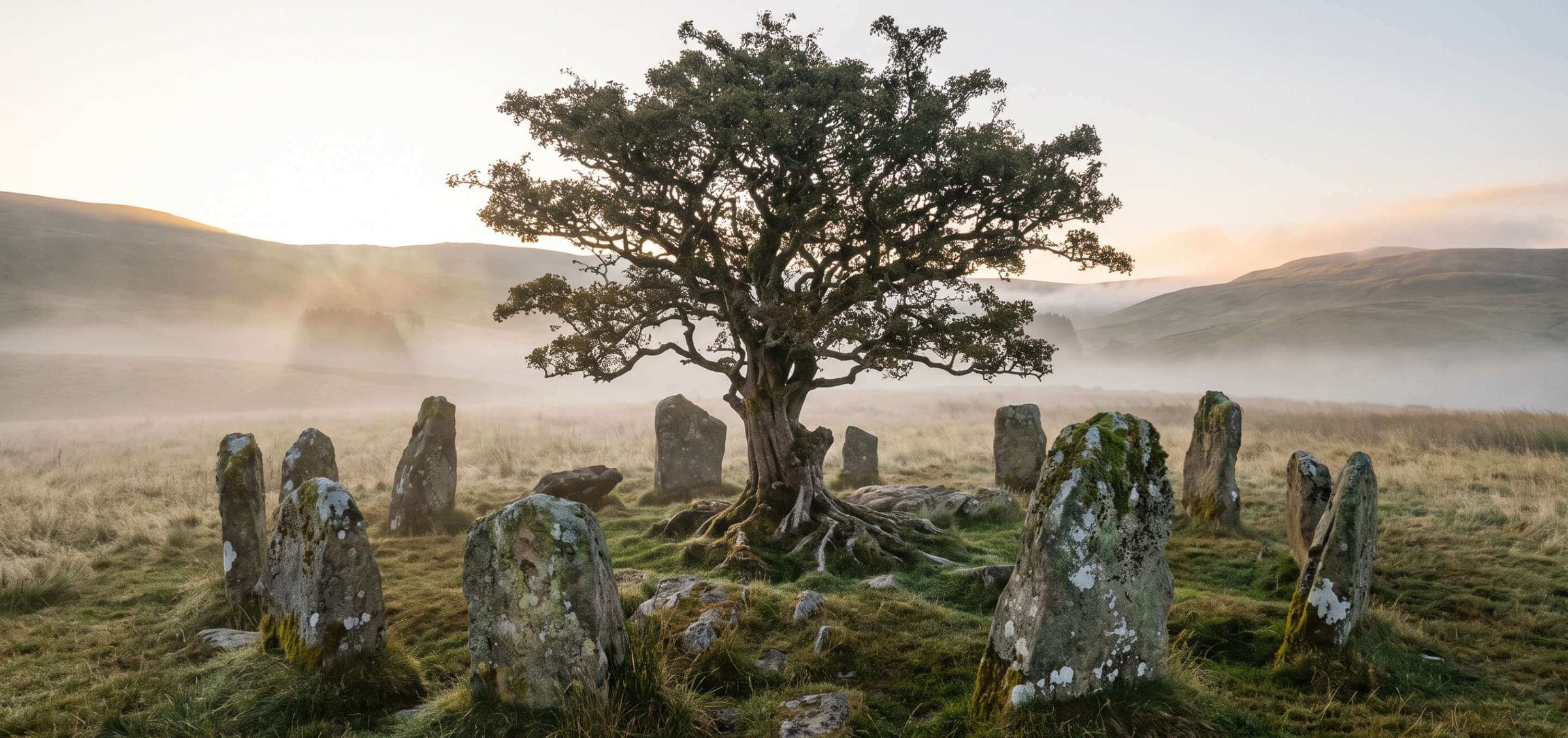 Alter Baum in einem Steinkreis im Morgennebel als Symbol für den Lebensbaum