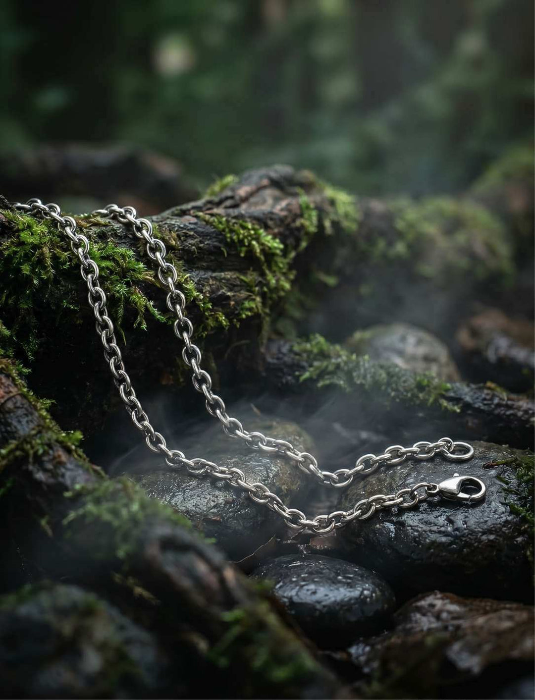 Ankerkette silber auf Moos und nassen Steinen im Wald