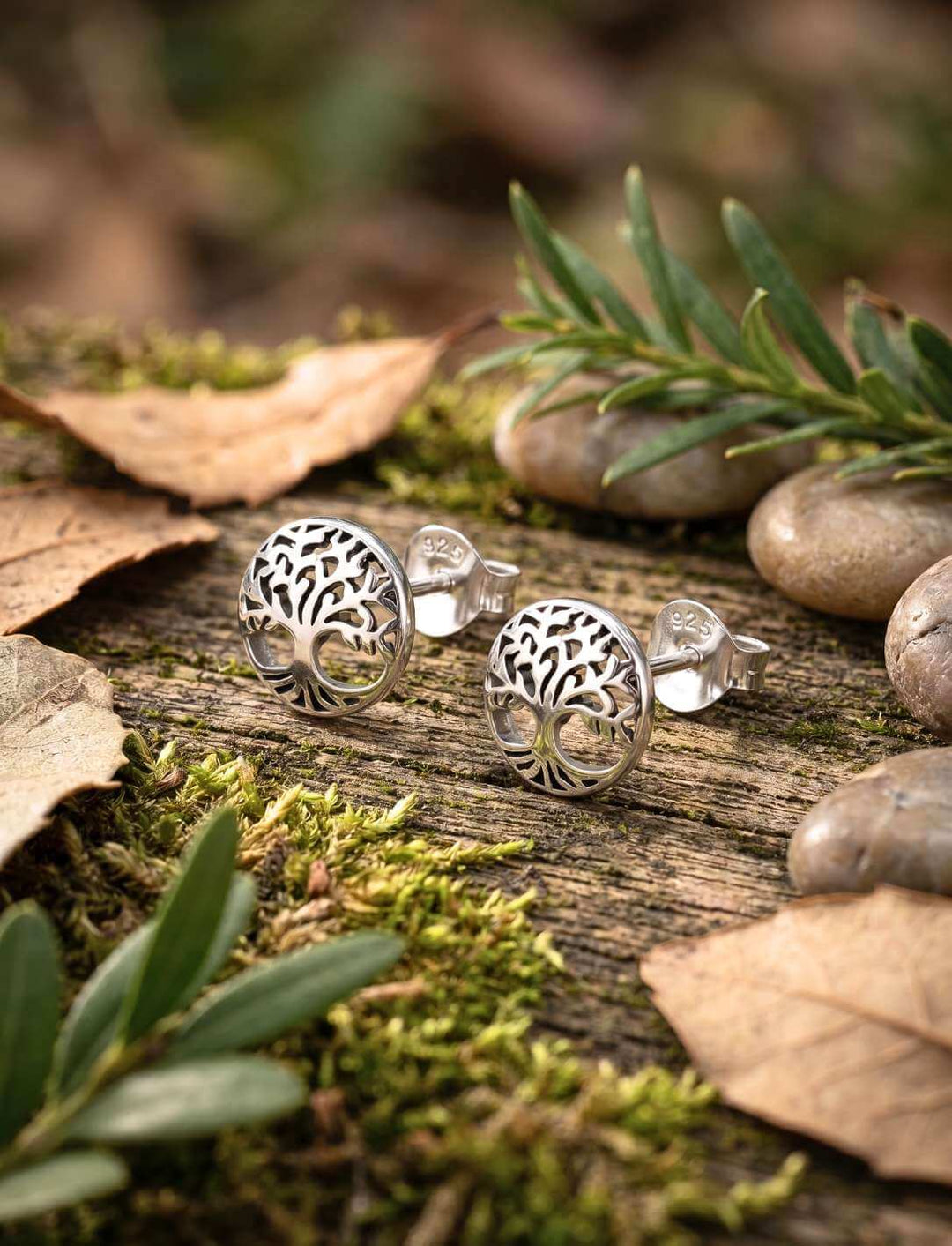 Runde Lebensbaum Ohrstecker aus 925 Sterling Silber auf Holz mit Moos.