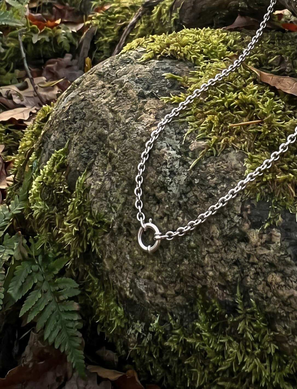 edelstahl-ankerkette-kette-der-alten-pfade-waldboden