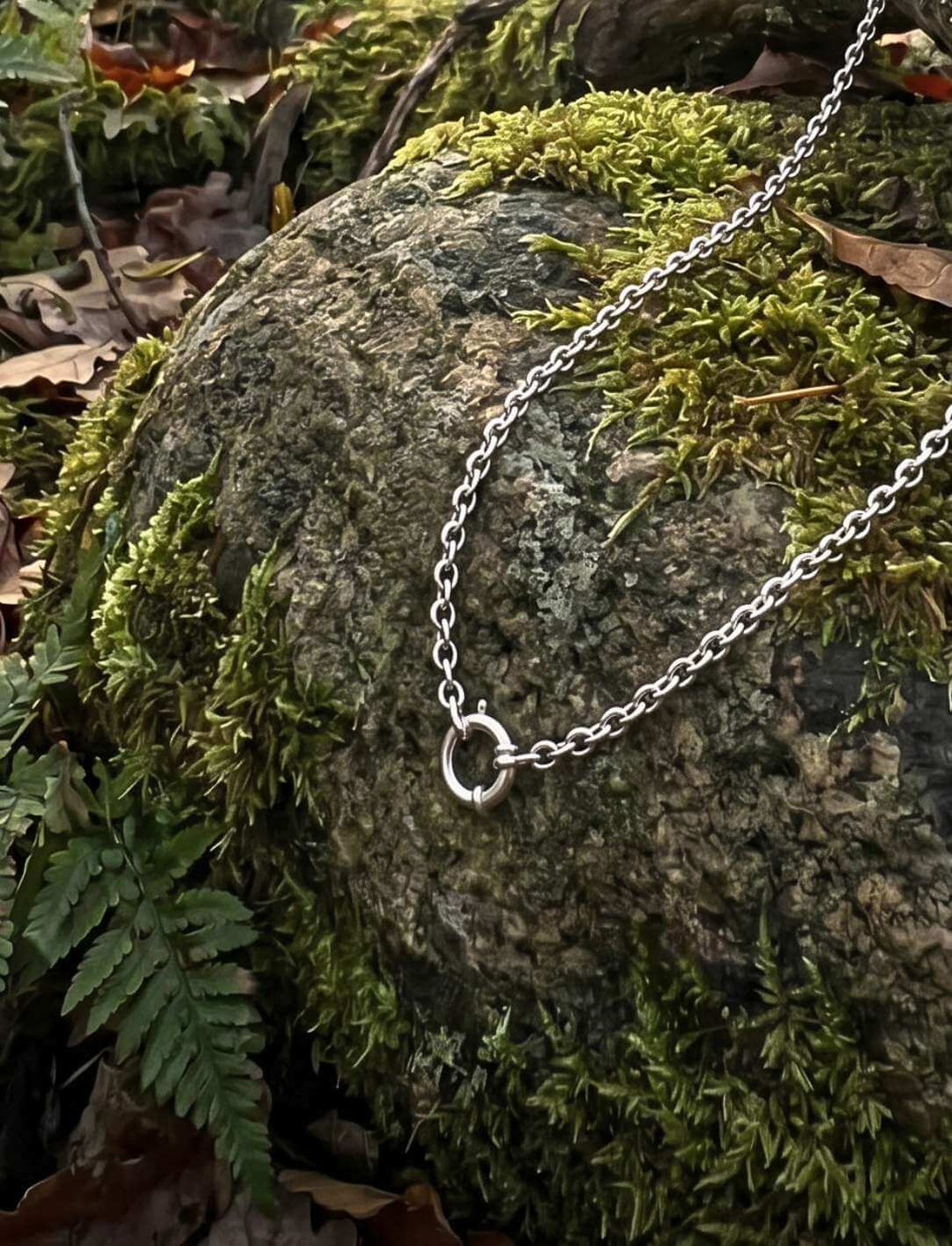 edelstahl-ankerkette-kette-der-alten-pfade-waldboden