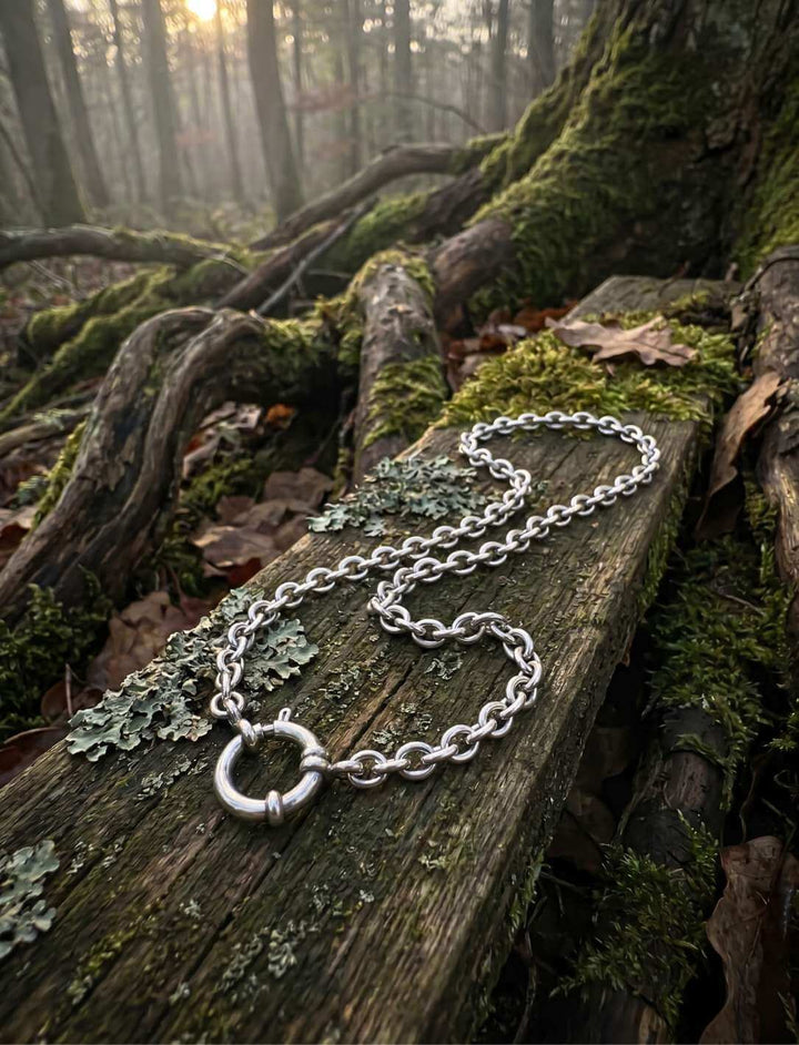 Edelstahl Ankerkette auf bemoostem Waldstein im Abendlicht