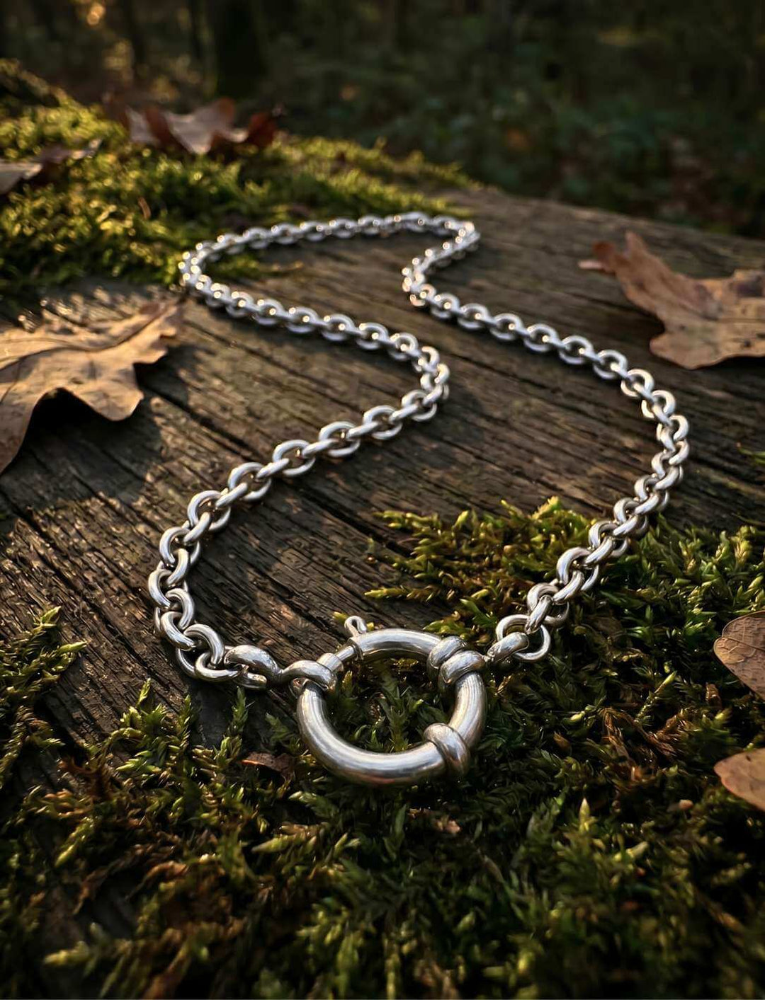 edelstahl-ankerkette-4mm-ankerglieder-moos