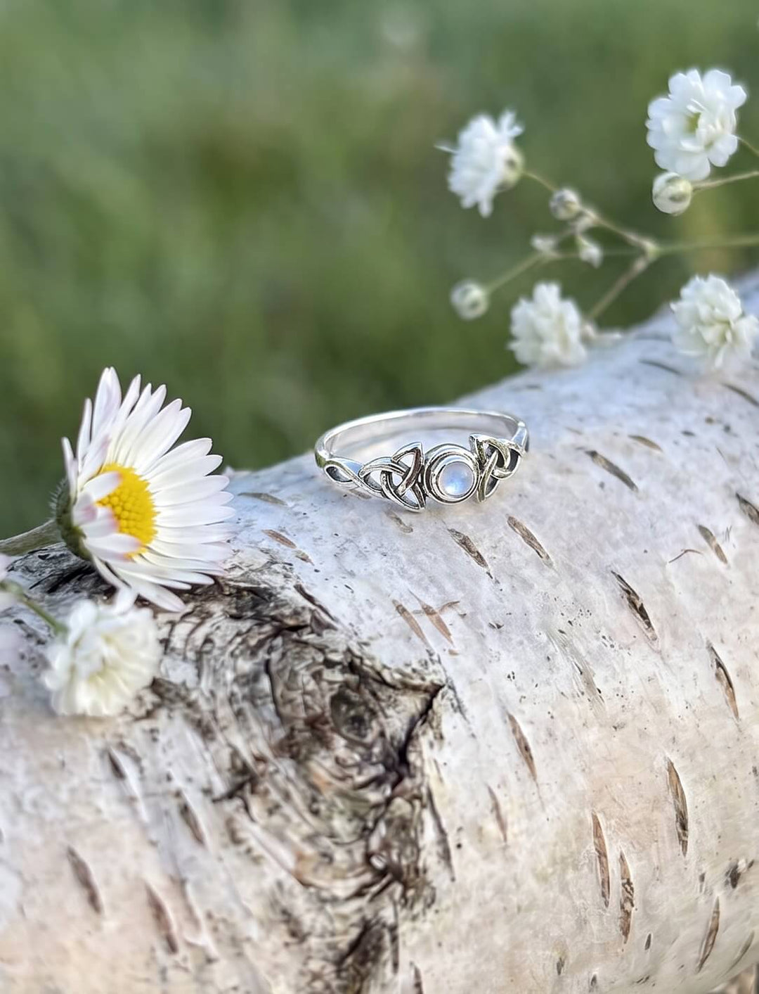 Maitau von Bealtaine: Mondstein Ring aus Silber mit zwei Triquetras auf einem Birkenstamm mit Gänseblümchen