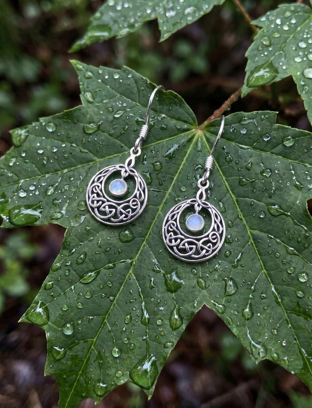 Mondkreis des keltischen Knotens Silber Ohrhänger mit Regenbogenmondstein auf taunassem Blatt