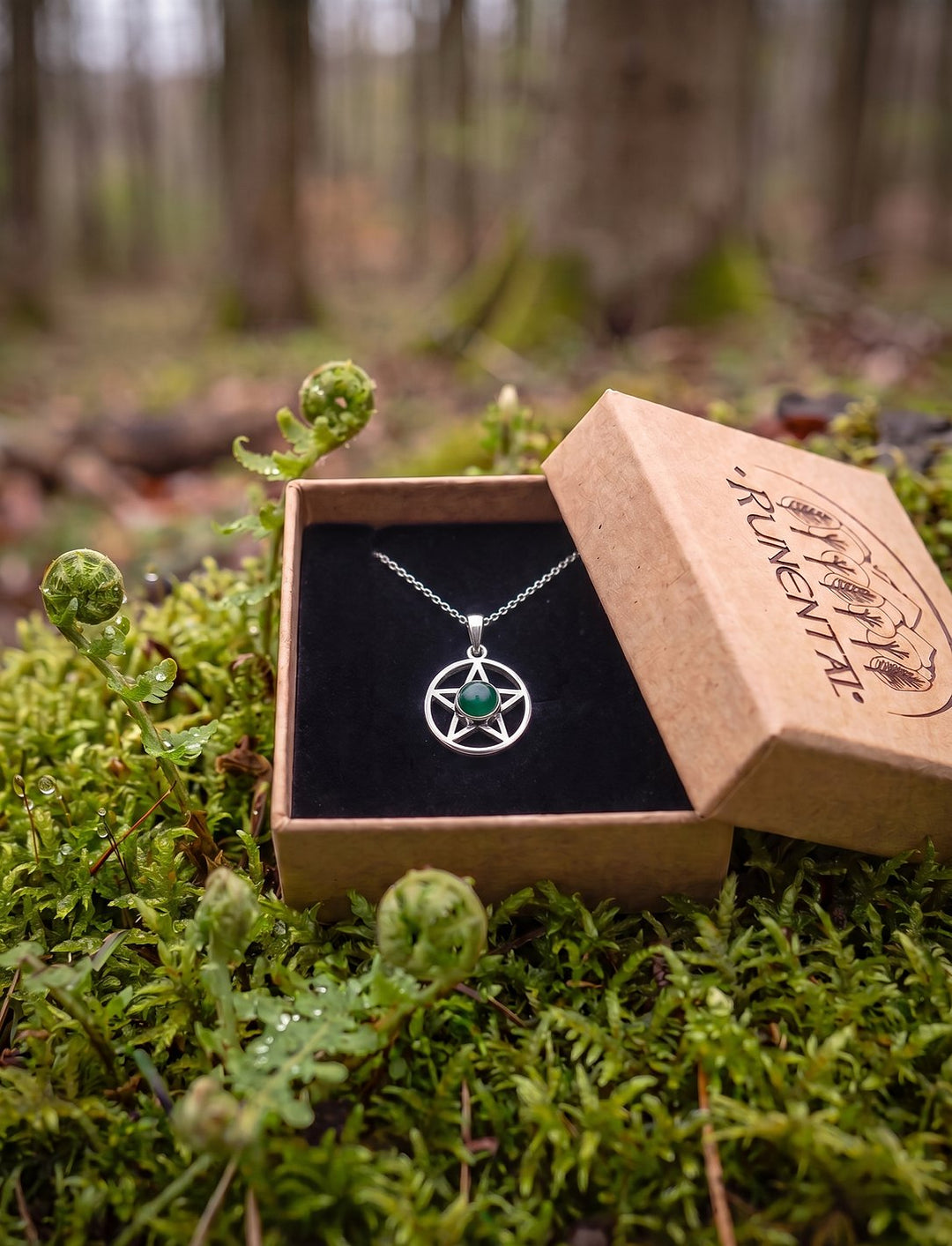 Pentakel Kette mit Achat in der Runental Geschenkbox auf frischem Waldmoos zwischen jungen Farnschnecken