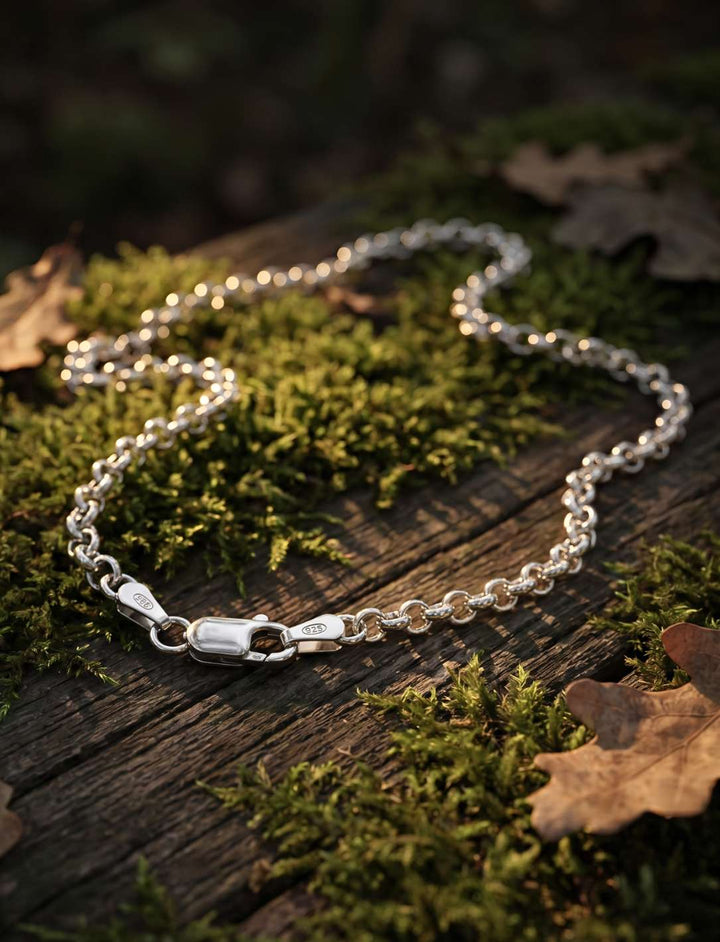 Silberkette Schimmerndes Ringgeflecht mit Karabinerverschluss auf Holz und Moos.